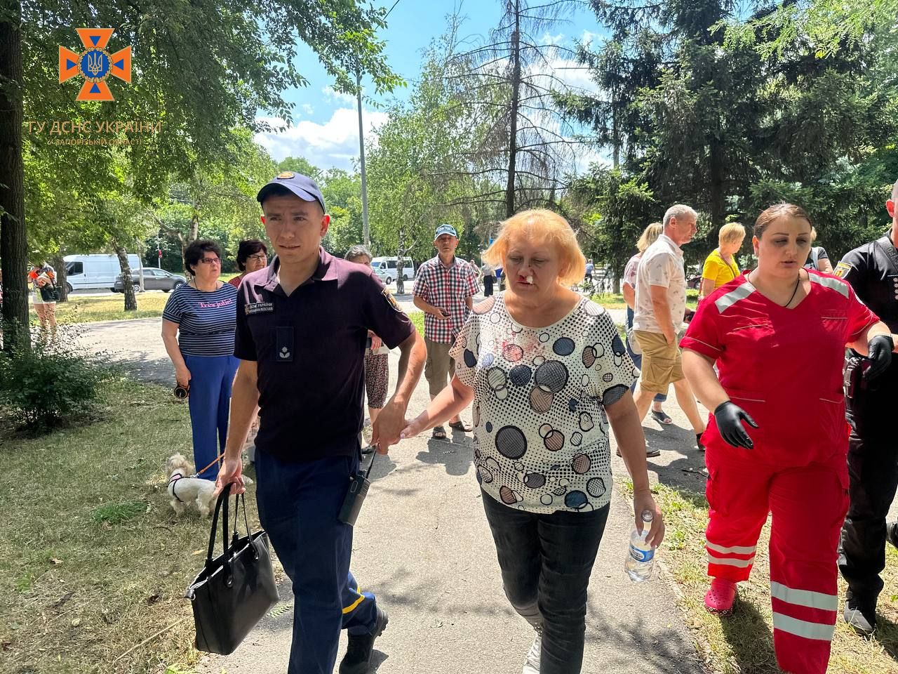 Россия средь бела дня атаковала запорожский парк: фото последствий